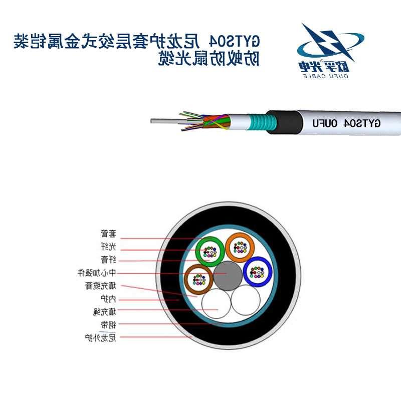 津南区GYTS04光缆